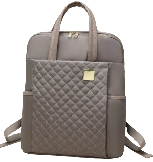 Bolso Elegante de Mujer